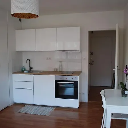 Apartment Petite France, De Charme Vue Sur L'ill Strasbourg