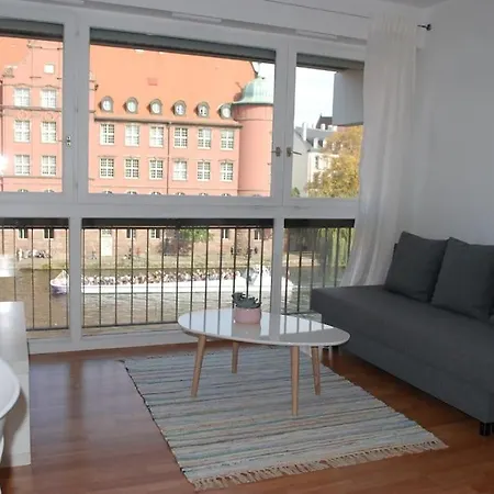 Apartment Petite France, De Charme Vue Sur L'ill Strasbourg